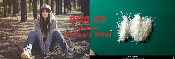 ГАЛЛЮЦИНОГЕННЫЕ ГРИБЫ Богородицк