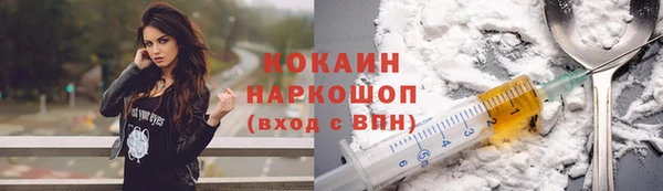твердый Сосновый Бор