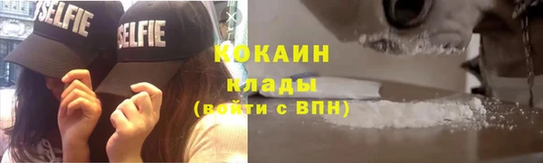 спиды Богданович