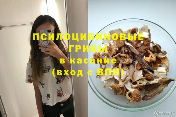 спиды Богданович